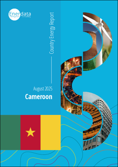 Cameroon energy report