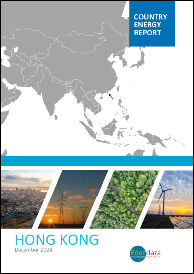 Hong Kong energy report