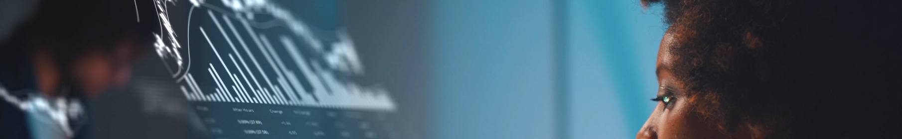 Consulting <!--amp--> Expertise