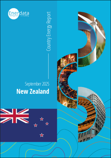 New Zealand energy report