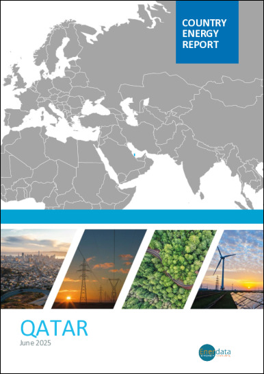 Qatar energy report