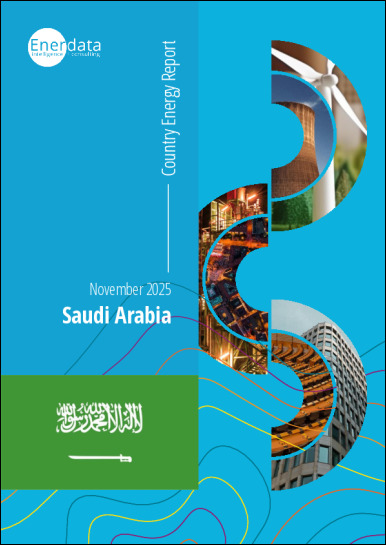 Saudi Arabia energy report