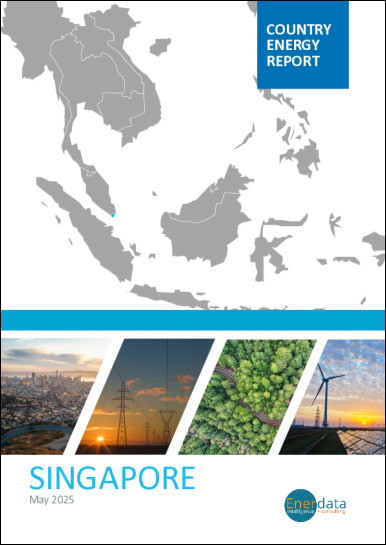 Singapore energy report