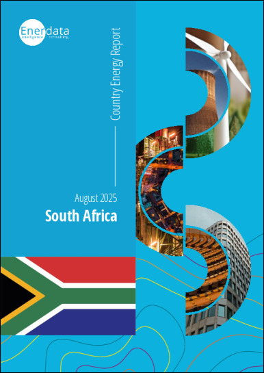 South Africa energy report