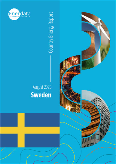 Sweden energy report