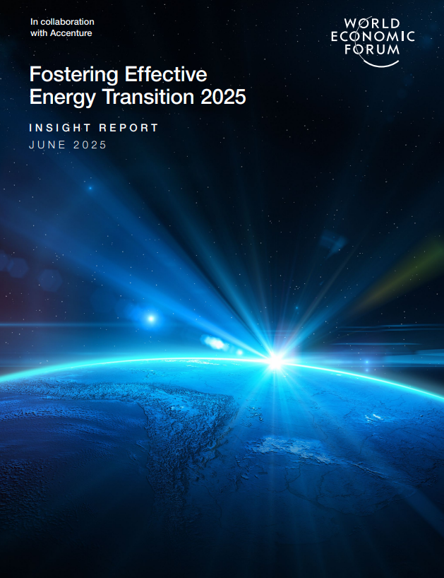 WEF 2025- report
